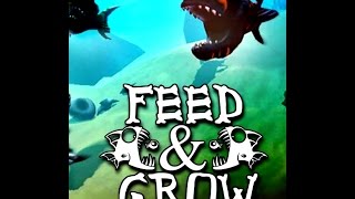 Feed and Grow Fish Gameplay - Galvesp Games