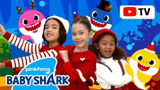 [4k] Shark Cantata | Kids Choreography | Dance Along 