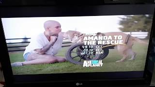 (Camrip) анонс, смена логотипа и новая заставка на Animal planet (Europe) (22.01.2019)