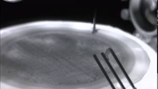 Fly-catching robot developed by Stanford scientists
