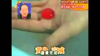 Kỹ nghệ sản xuất trứng gà giả ở Trung Quốc   Nguoiduatin vn   Báo điện tử Người đưa tin