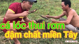 HL Smile || Cá lóc Thui Rơm - Đậm Chất Miền Tây