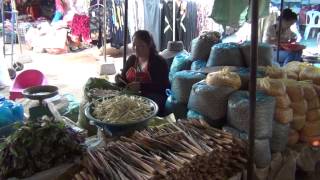 Moog saib tebchaws nplog 2015 Part 3, Go visit Laos 2015 Part 3