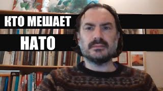 Турция выйдет из НАТО? Какие страны мешают США? / Интервью с турецким политологом