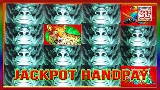 ** JACKPOT HANDPAY ** AFRICAN BEAT ** NEW KONAMI GAME ** SLOT LOVER **