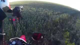 Irbis TTR250 & Honda Transalp 400