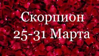Скорпионы. Таро-прогноз с 25-31 Марта 2019 года ?
