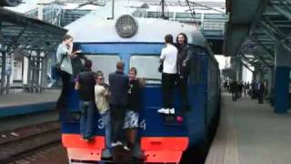 Московские электрички отправляются с живым "прицепом"