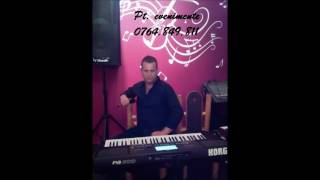 Dan Blondu - Am cel mai bun fratior din lumea asta 2016