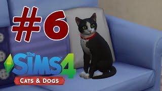 Yeni Ev Yeni Koltuk | The Sims 4 Cats & Dogs #6