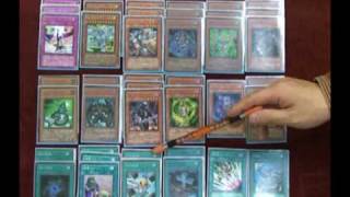 遊戯王スターダストドラゴン／バスターデッキＭkⅡカードキングダム