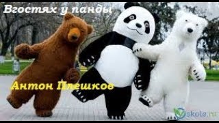 В гостях у панды #2! Идея для канала от Антона Плешкова как зарабатывать и развиваться