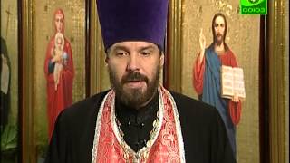 27 октября. Прп. Никола Святоша