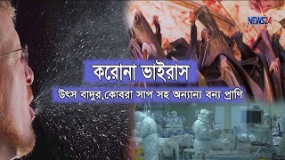 আতংকের নাম করোনা ভাইরাস | উৎস বাদুর,কোবরা সাপ সহ অন্যান্য বন্য প্রাণি 28Jan.20 Corona Virus