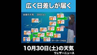 【夜の1分天気】あす10月30日(土)の天気 #Shorts