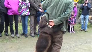 Wolverine Attacks Guide....WITH CUDDLES (Summer Vlog #4)