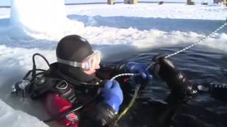 Ice diving in Russia, arctic circle; free diving with beluga whale