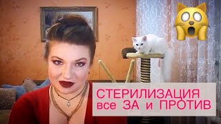 СТЕРИЛИЗАЦИЯ ДОМАШНИХ ЖИВОТНЫХ все ЗА и ПРОТИВ/STERILIZATION of PETS all PROS and CONS