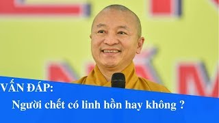 Vấn đáp: Người chết có linh hồn hay không ? | Thích Nhật Từ