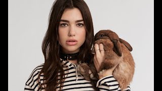 Dua Lipa Greats Hits 2018 || Dua Lipa the Best Songs