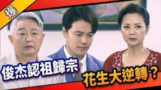 《八點檔搶先爆》市井豪門 EP181 俊杰認祖歸宗 花生大逆轉？