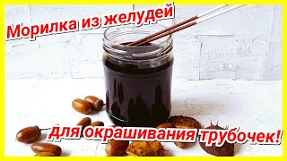 Морилка своими руками из желудей: отличная альтернатива покупной!