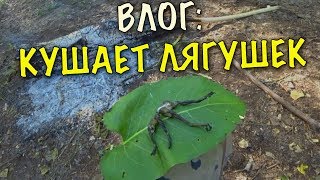 ВЫЖИВАНИЕ В ЛЕСУ БЕЗ ЕДЫ №2 - УЖИН ИЗ ЛЯГУШЕК???