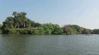 Ranganathittu Bird Sanctuary - January 2011