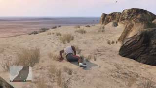 Grand Theft Auto (36)