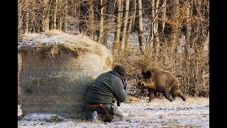 Приколы и Ржач - Опасная охота на кабанов 2017