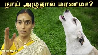நாய் அழுதால் மரணமா? The reason of dog Howling