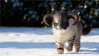 ПУТЕШЕСТВИЕ ПО  SKYRIM#1(С ЮМОРОМ)  -ДОВАКОТ