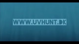 UV jagt i Strandby ved Nordjylland