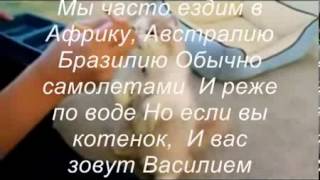 КОТ ВАСИЛИЙ (Ivan Krutov)