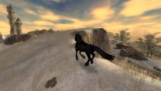 Пара фризов. Star Stable Online