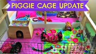 Guinea Pig Cage Updates! June 2014
