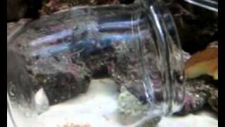 video 2011 06 13 18 38 11