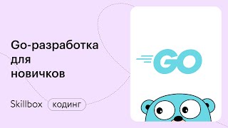 Какие ошибки допускают в программировании? Интенсив по Golang