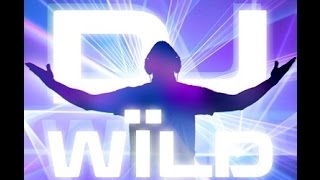 Dj Wild slot machine demo game