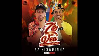 SALTO 15_ZE DA VEA NA PISADINHA (REPILIQUES ALTERADO)2019,2