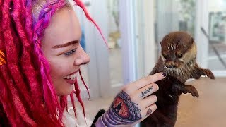 Visiting an OTTER CAFE in Tokyo