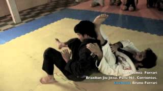 Bruno Ferrari - brazilian jiu jitsu.