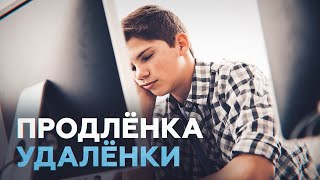 УЧИТЕЛЬ ОТ БОТА / как дистант проверяет учителей на профпригодность