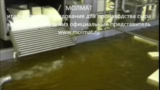 производство пицца чиз моцареллы
