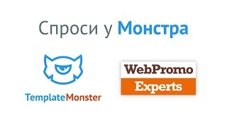 Как анализировать эффективность в сезонном бизнесе? Спроси у Монстра #6