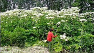 Жители села Холуй - берегите своё село - малую Родину !!!