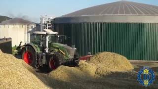 Maisernte 2016 Agrarservice Dettmer