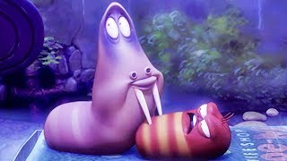 LARVA - VAMPIRE YELLOW | Cartoon Movie | Cartoons For Children | Larva Cartoon | LARVA Official