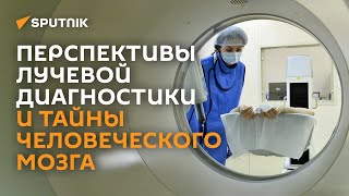 Как у человека в процессе эволюции появился разум?