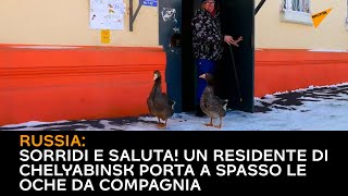 Russia: Sorridi e saluta! Un residente di Chelyabinsk porta a spasso le oche da compagnia